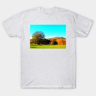 Beautiful scenery with green meadow, sprawling tree and mountains covered by autumn colored forests T-Shirt
